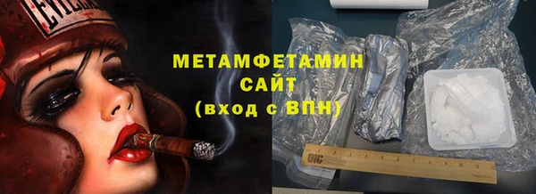 прущие грибы Ладушкин