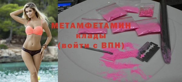 прущие грибы Ладушкин