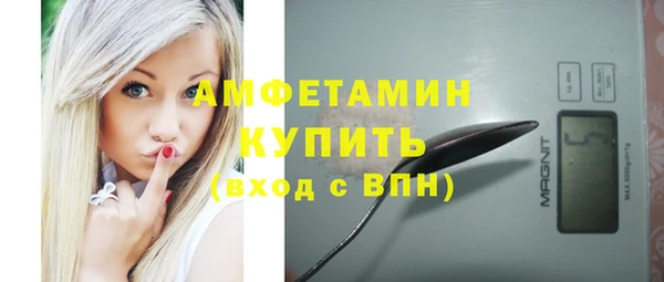 прущие грибы Ладушкин