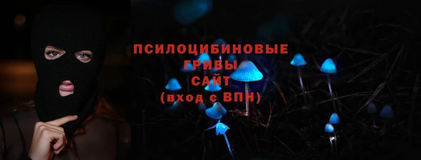 прущие грибы Ладушкин