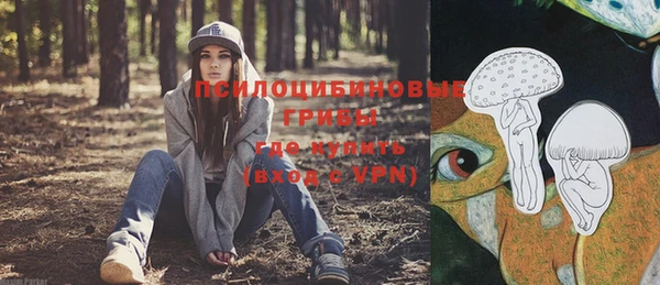 прущие грибы Ладушкин