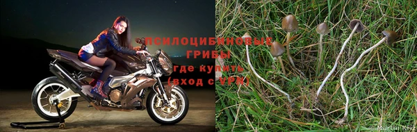 MDMA Лиски
