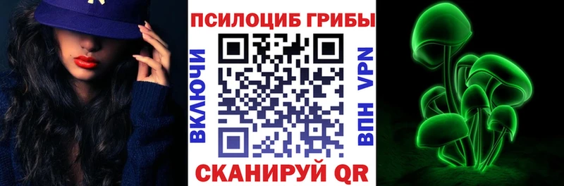 Купить закладки  Балабаново  Псилоцибиновые грибы Magic Shrooms 